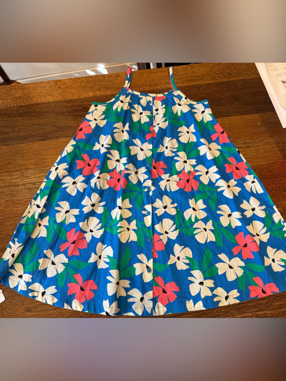 Hanna Andersson Blue Floral Sundress with Pink & White Flowers
